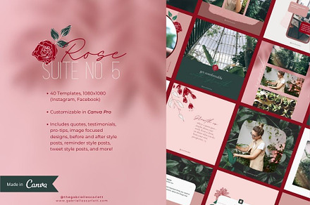 Rose | Canva Pro Instagram Template