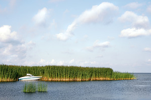 Small boat moored in bulrush reeds, a Nature Photo by BOOCYS