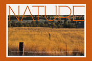 Rosta Modern Serif Font, a Serif Font by Perfectype (Thumbnail 8 of 10)