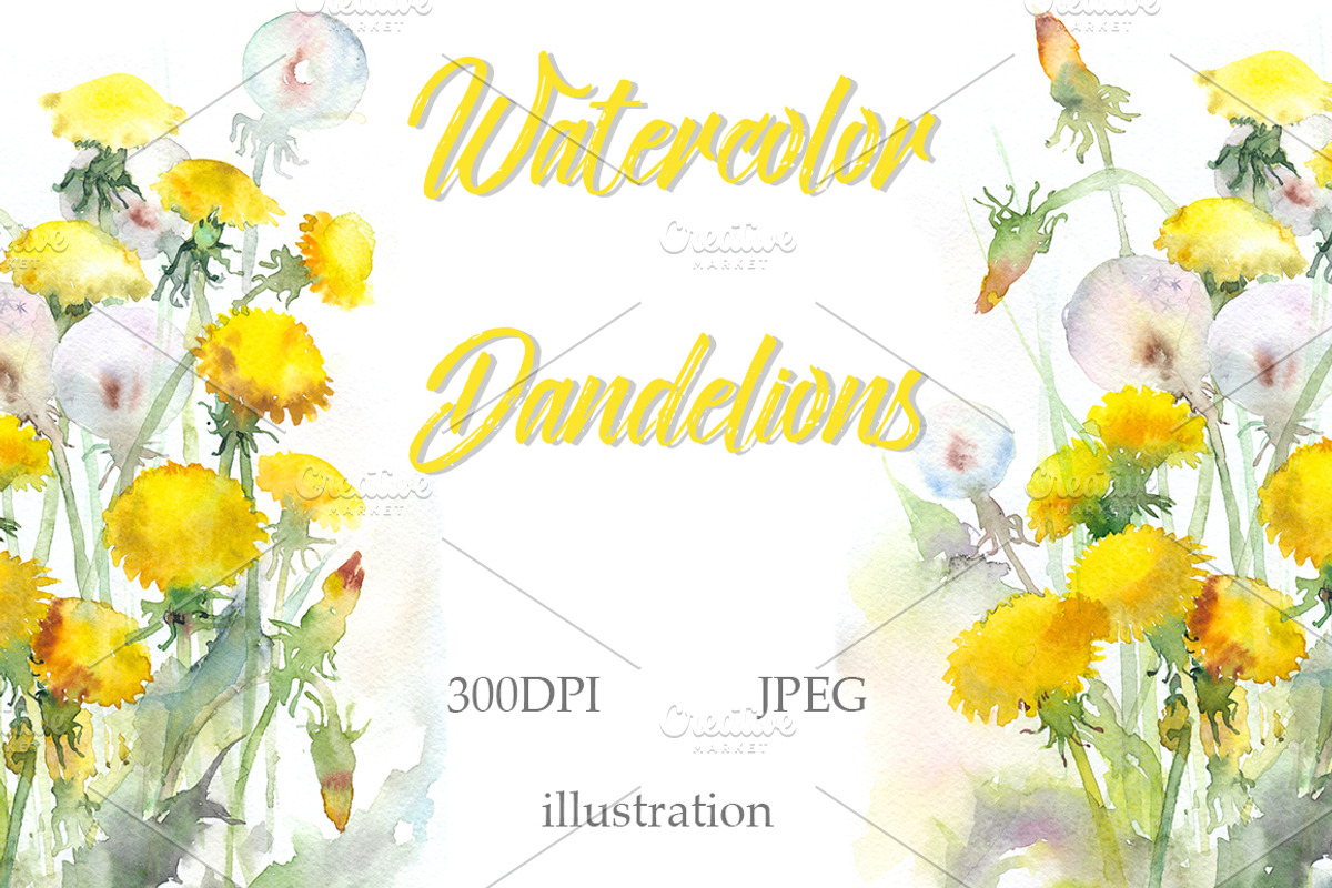 SALE! Watercolor dandelions, a Decorative Illustration by MaryAmi (Photo 1 of 3)
