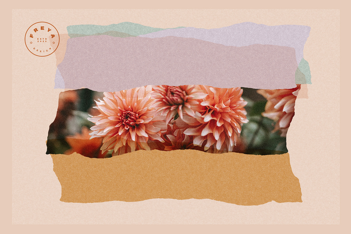 Cutout - Backgrounds, Shapes + Logos, a Texture Graphic by Basia Stryjecka (Photo 18 of 22)