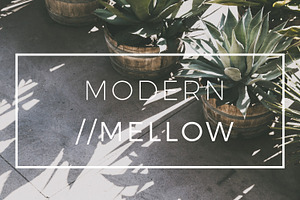 Modern/Mellow Matte Lightroom Preset