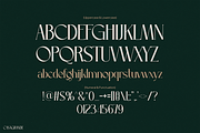Casagrande, a Serif Font by Pinisi ART (Thumbnail 2 of 10)