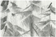 Contour edgy vector illustration, a Texture Graphic by Oleg and Katja (Thumbnail 9 of 26)