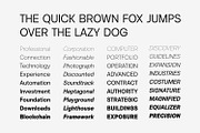 Vontica Sans Font Family, a Sans Serif Font by Asenbayu (Thumbnail 8 of 15)