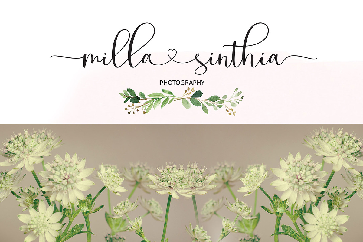 Fanthastic Script preview 4