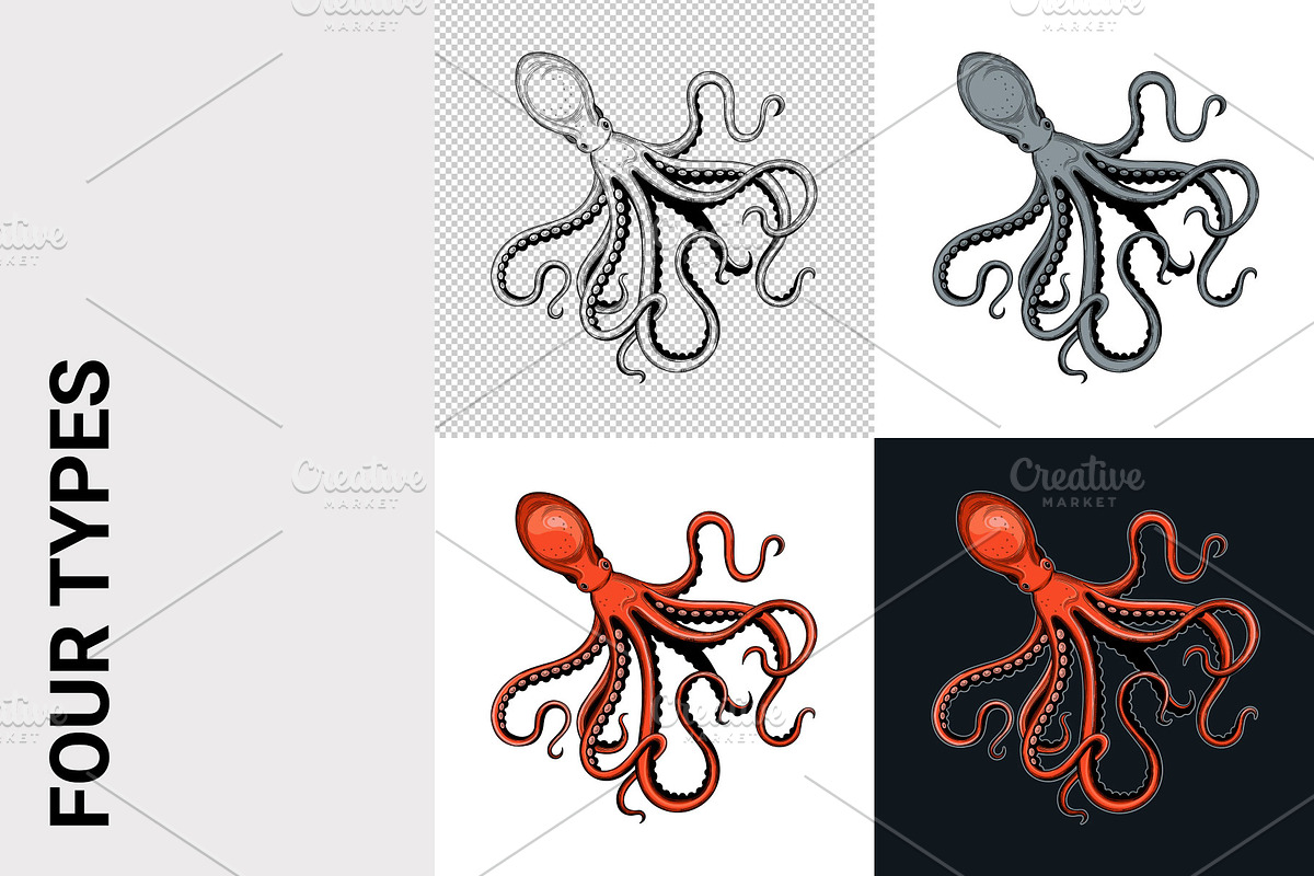 Seafood, an Animal Illustration by VitalinaGofman (Photo 3 of 7)