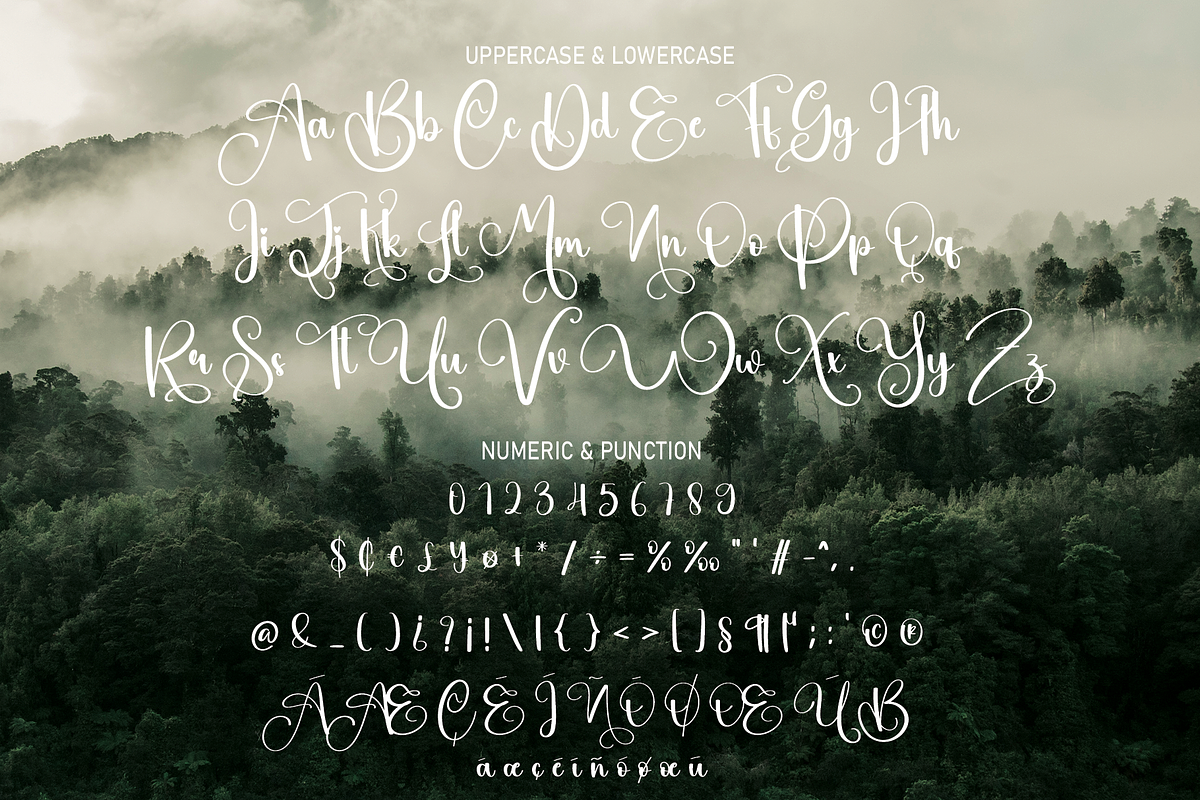 Nature | Script Font, a Script Font by Scratchones (Photo 7 of 8)