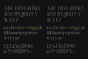 Karlotte - Elegant Serif Font, a Serif Font by Dora Typefoundry (Thumbnail 10 of 25)