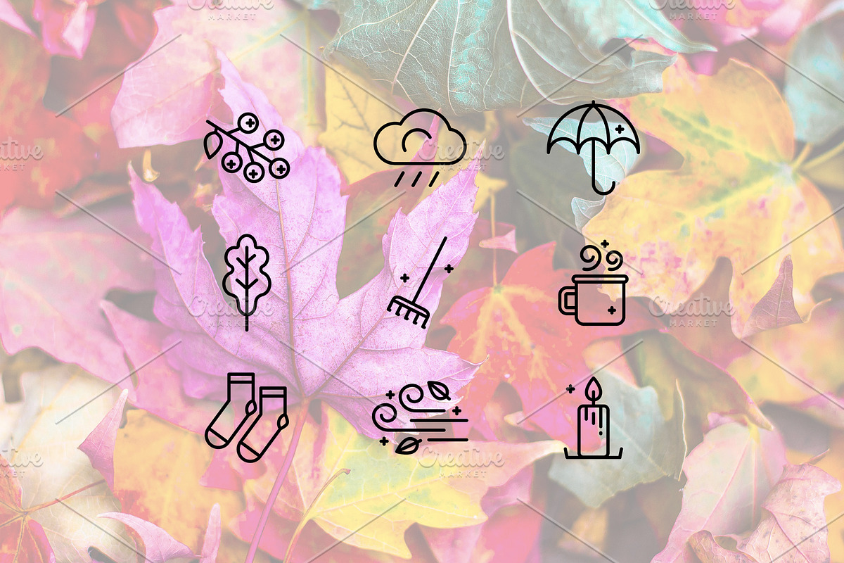Autumn line icons, an Outline Icon by Lyolya Profitrolya (Photo 2 of 2)