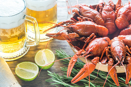 Bowl of boiled crayfish featuring ale, appetizer, and background, a Food & Drink Photo by Alexander Prokopenko
