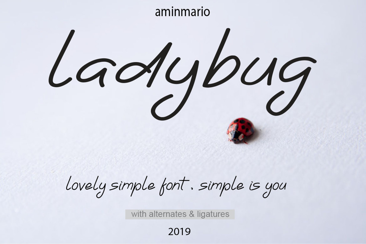 Ladybug, a Sans Serif Font by AMINMARIO (Photo 9 of 9)