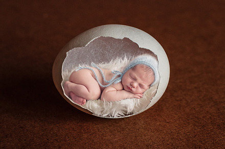 Easter Newborn Digital Backdrop
