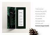 FERNS Trifold Event Flyer Design, a Brochure Template by AgataCreate (Thumbnail 2 of 8)