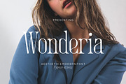 Wonderia - Aesthetic Font, a Serif Font by Fype Co. (Thumbnail 1 of 5)