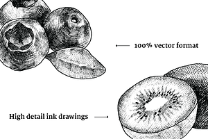 Hand Drawn Vintage Fruit