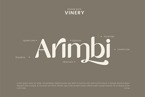 Vinery - Elegant Typeface