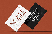 Morside - Modern Classic Serif, a Serif Font by Arterfak Project (Thumbnail 8 of 14)