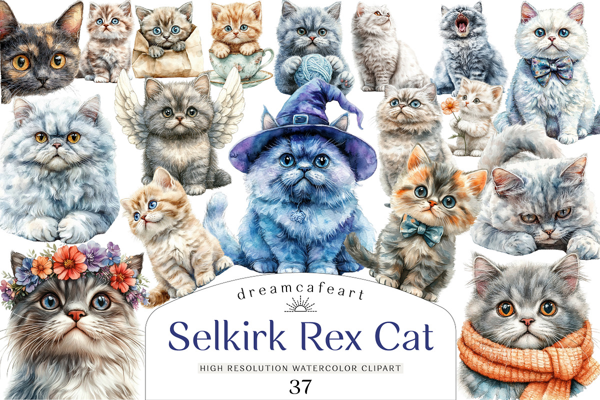 Selkirk Rex Cat Clipart, an Illustration by DreamCafeArt (Photo 1 of 5)