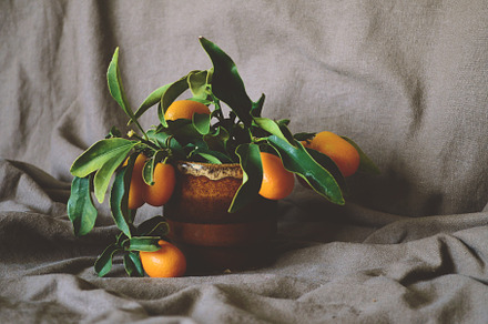 Still life with orange containing still life, art, and still life flowers