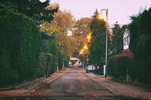 Morning street in autumn
