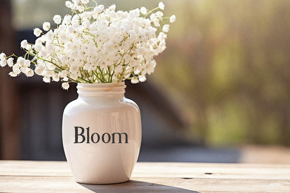 Farmhouse - Traditional Font, a Serif Font by BarcelonaShop (Photo 5 of 12)