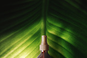 Spray Bottle Mockup, a Cups & Container Mockup by pmvch (Thumbnail 9 of 10)