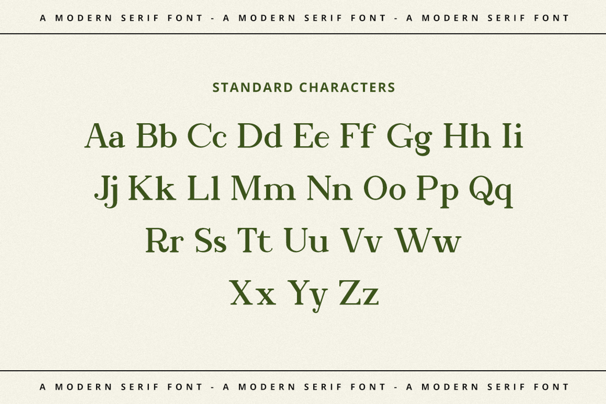 Bookinnes - Business Font, a Serif Font by RockboyStd (Photo 9 of 12)