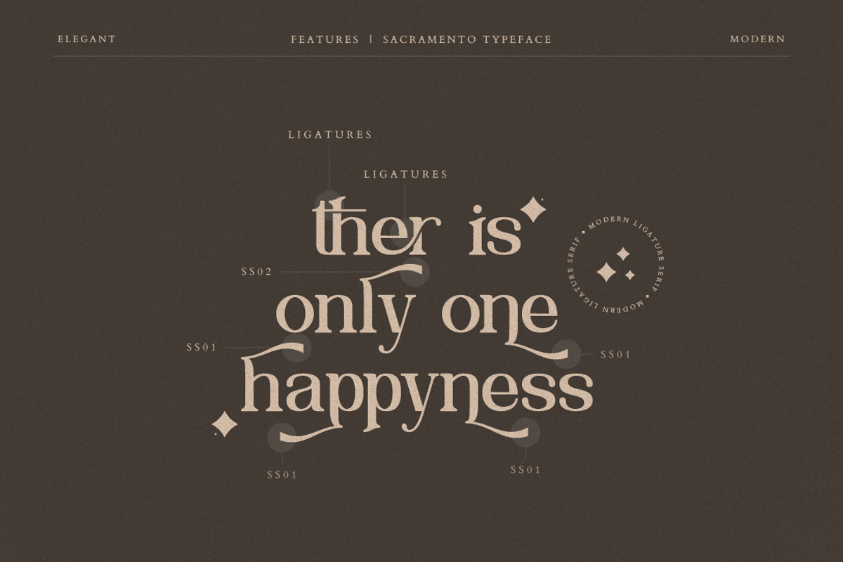 Sacramento Modern Ligature Serif, a Serif Font by Creatype Studio (Photo 3 of 9)