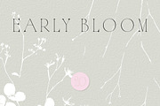 Botanical Background Collection, a Background Graphic by Anna Sokol (Thumbnail 9 of 14)