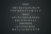 Areath - Elegant Serif Font, a Serif Font by BOOSH Studio (Thumbnail 9 of 11)