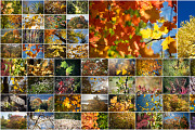 Autumn Photoset 50 Images, a Templates & Theme by Magic Mint (Thumbnail 2 of 3)