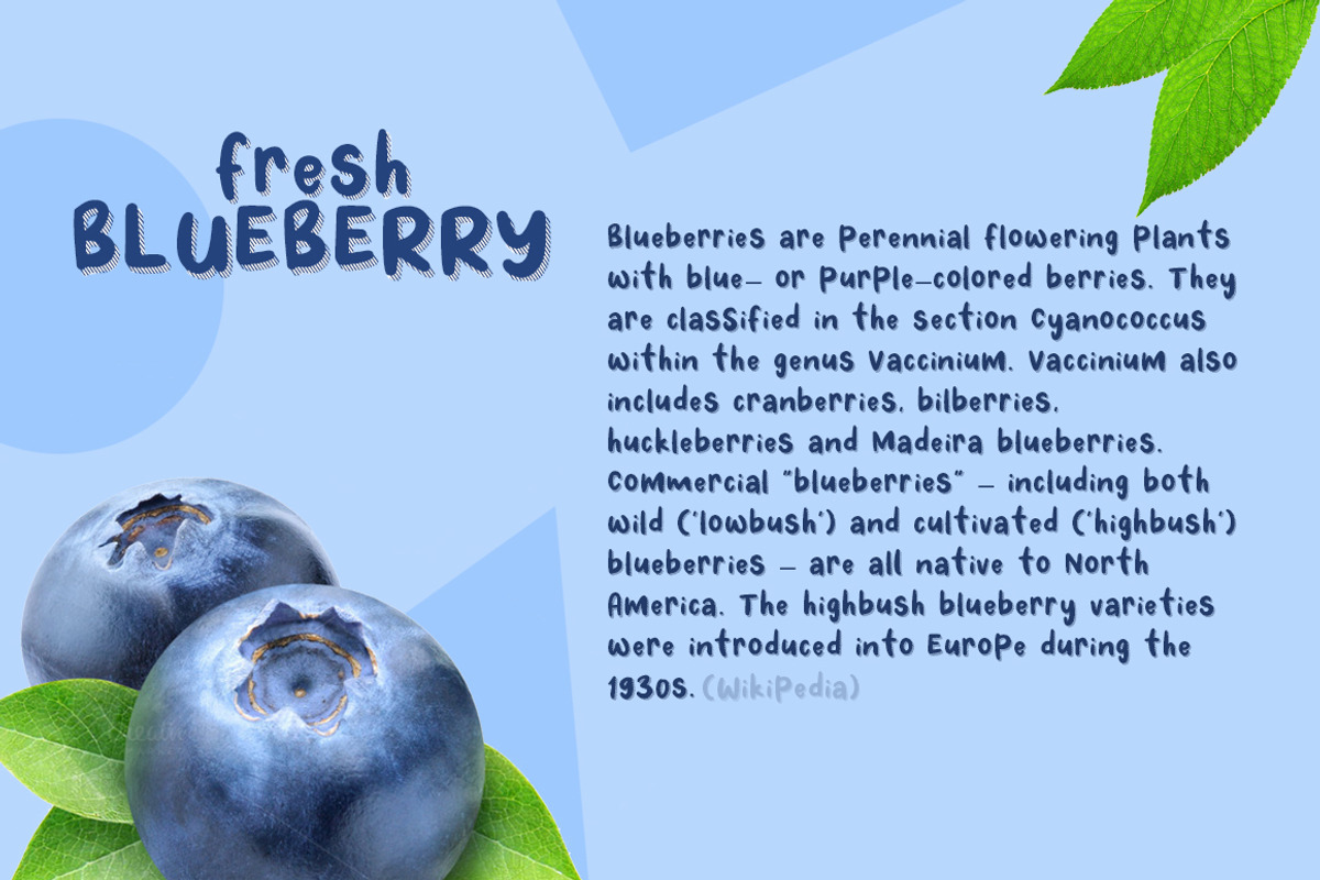 Fresh Blueberry preview 2