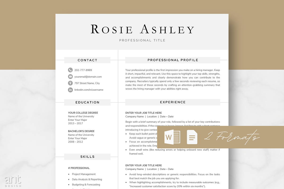 Modern Resume Template - Rosie, a Resume Template by AntDesignStudio (Photo 1 of 9)