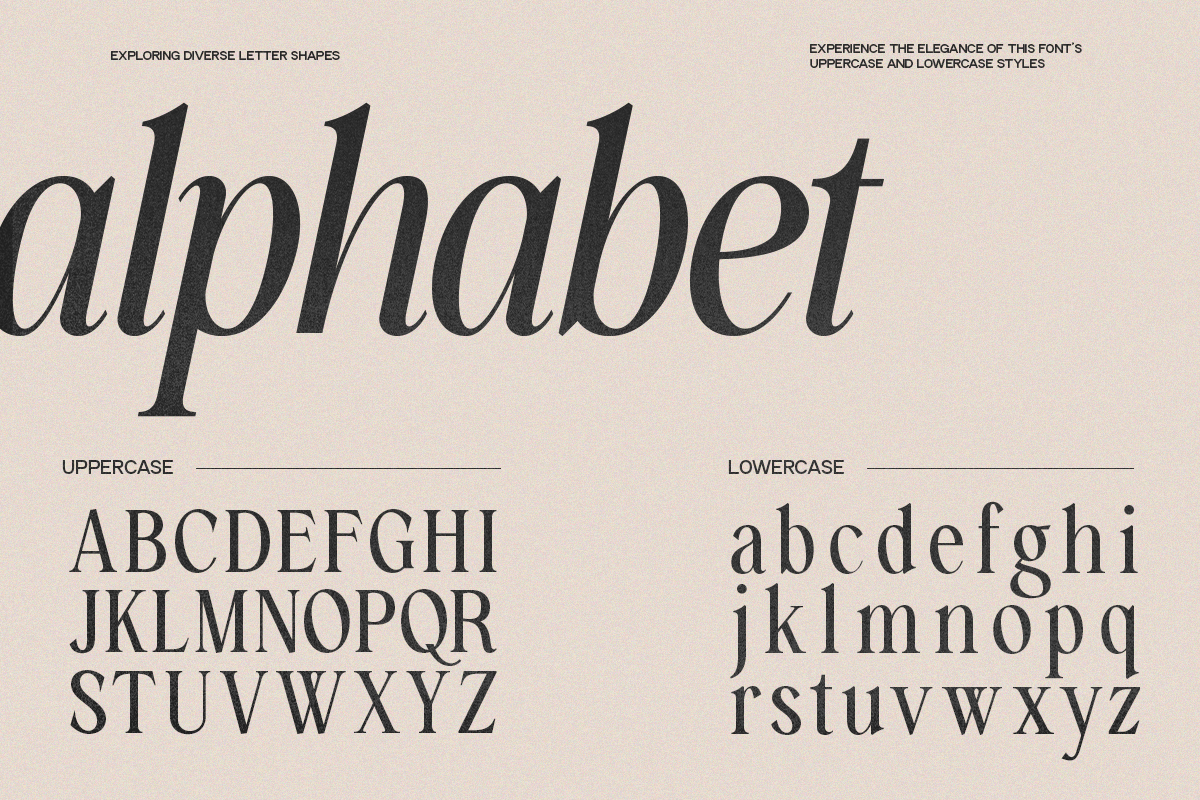 GC Amelie Promised – Italic Serif, a Serif Font by Glyphonic (Photo 7 of 15)