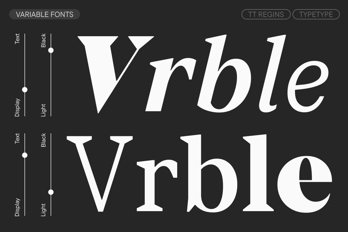 TT Regins, a Serif Font by TypeType (Photo 5 of 15)