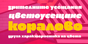 Maver, a Sans Serif Font by Ani Dimitrova (Thumbnail 9 of 15)
