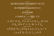 Beauty Luxury Serif Font - Anolera, a Serif Font by Font Liner (Thumbnail 10 of 10)