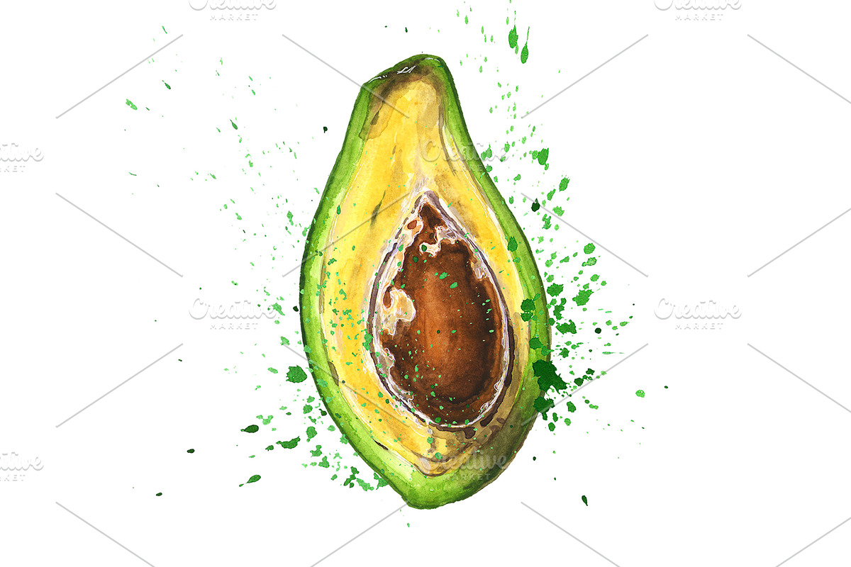 Hand-drawn watercolor Avocado, a Food Illustration by Margo Miller (Photo 8 of 12)