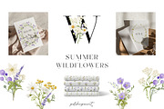 Watercolor Summer Wildflowers, an Illustration by polikarpovaart (Thumbnail 1 of 16)