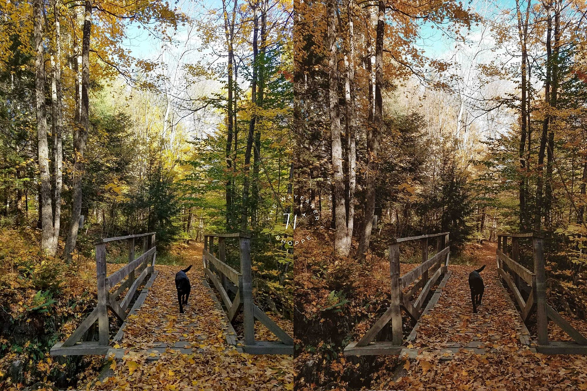 15 Moody Fall Lightroom Presets, a Preset Add-On by TheWayfarerShoppe (Photo 5 of 8)