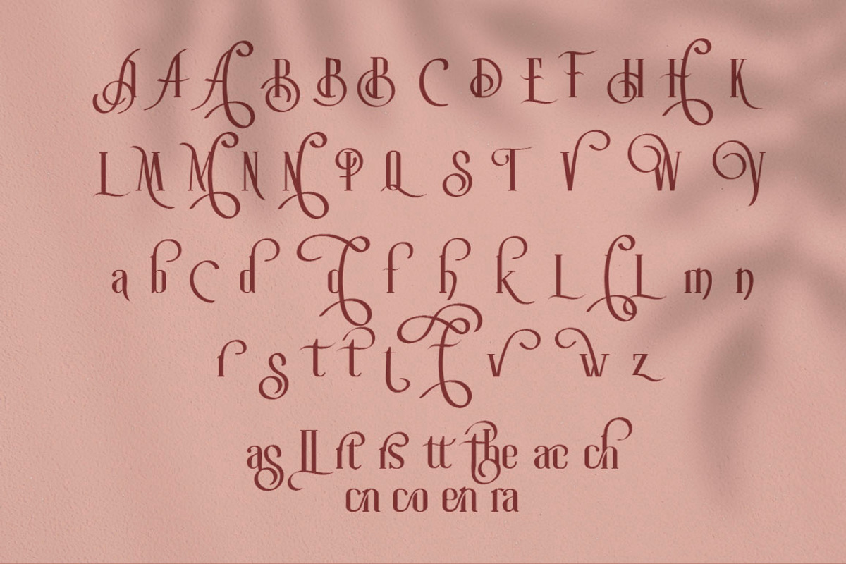 Roller Coaster Serif (Bonus), a Serif Font by Anxiety Studio (Photo 19 of 19)