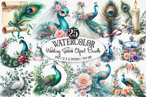Wedding Peacock Clipart, an Illustration by Designking