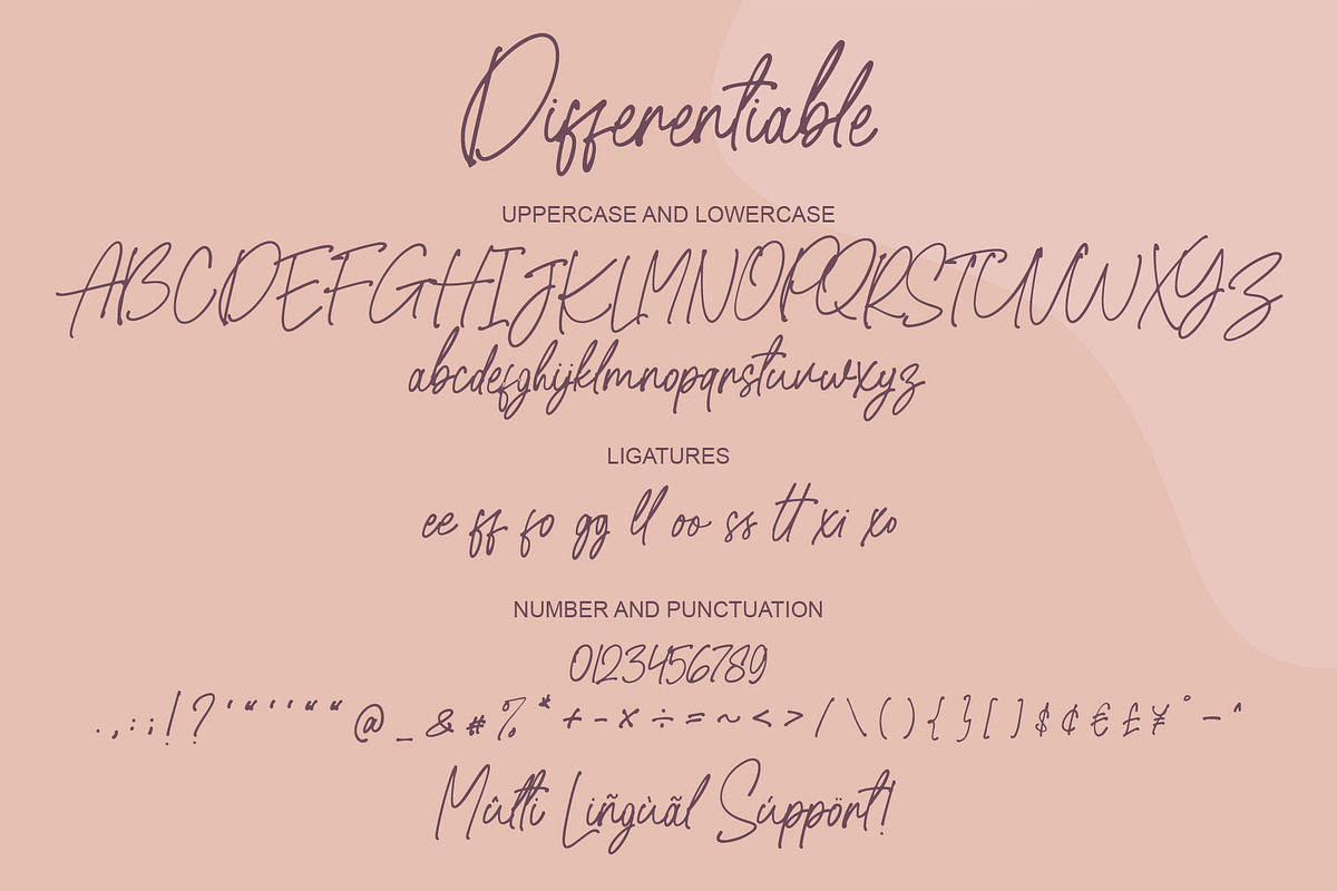 Differentiable | Handwritten font, a Script Font by alphArtype (Photo 6 of 7)