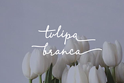 Lamelan, a Script Font by GlottaTypeface (Thumbnail 4 of 8)