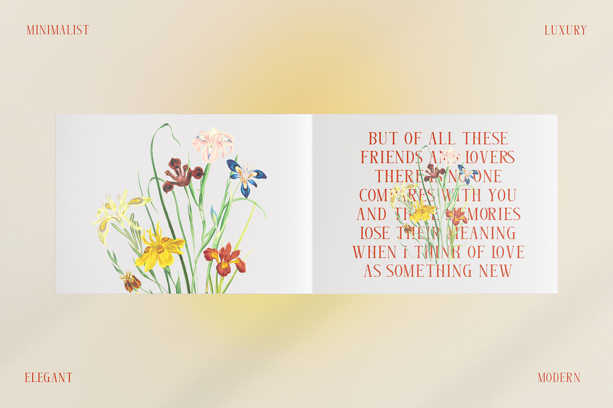 Glorando Modern Serif Font Display, a Serif Font by Storytype Studio (Photo 7 of 15)