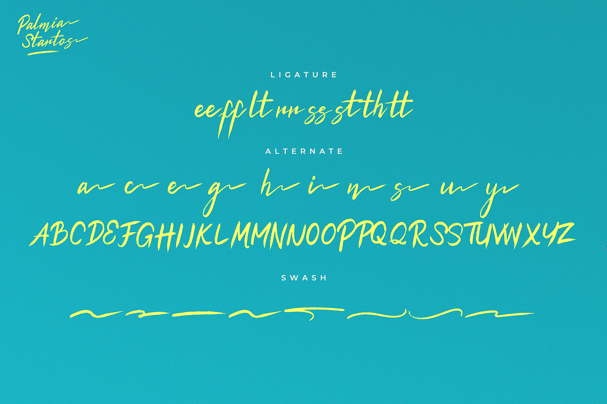 Palmia Startos | Retro Brush Script, a Script Font by gracetype_studio (Photo 15 of 15)