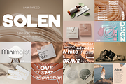 Sans Serif Bundle, a Sans Serif Font by Larin Type Co. (Thumbnail 8 of 12)