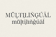 Kyrie: A Luxe Calligraphic Serif, a Serif Font by Jen Wagner Co (Thumbnail 11 of 13)