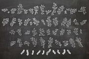 Hand Drawn Plant Elements, an Object Illustration by Does She Even Doodle (Thumbnail 1 of 5)